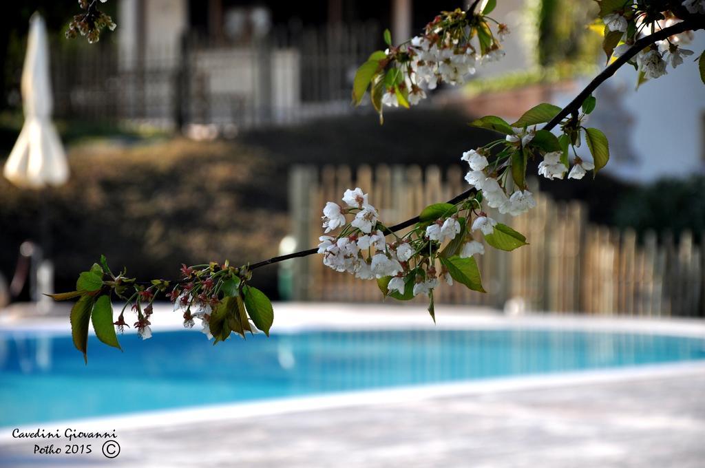 Agriturismo & Agricamping Serena 帕斯特伦戈 外观 照片