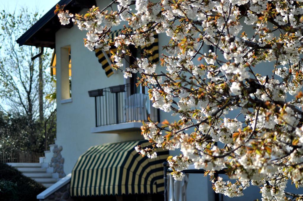 Agriturismo & Agricamping Serena 帕斯特伦戈 外观 照片